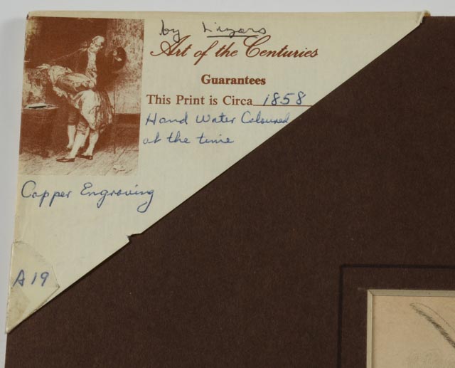 Four Dog Engravings from "The Naturalist's Library"