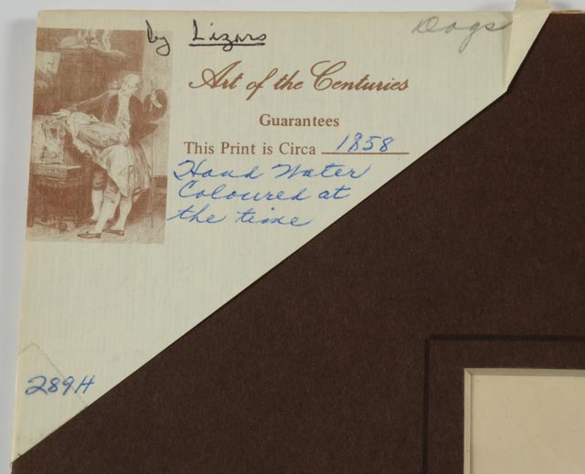 Four Dog Engravings from "The Naturalist's Library"