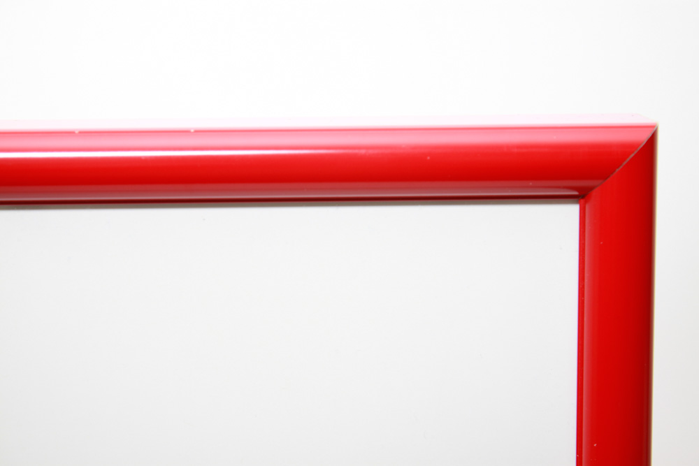 Disney Commemorative Serigraph