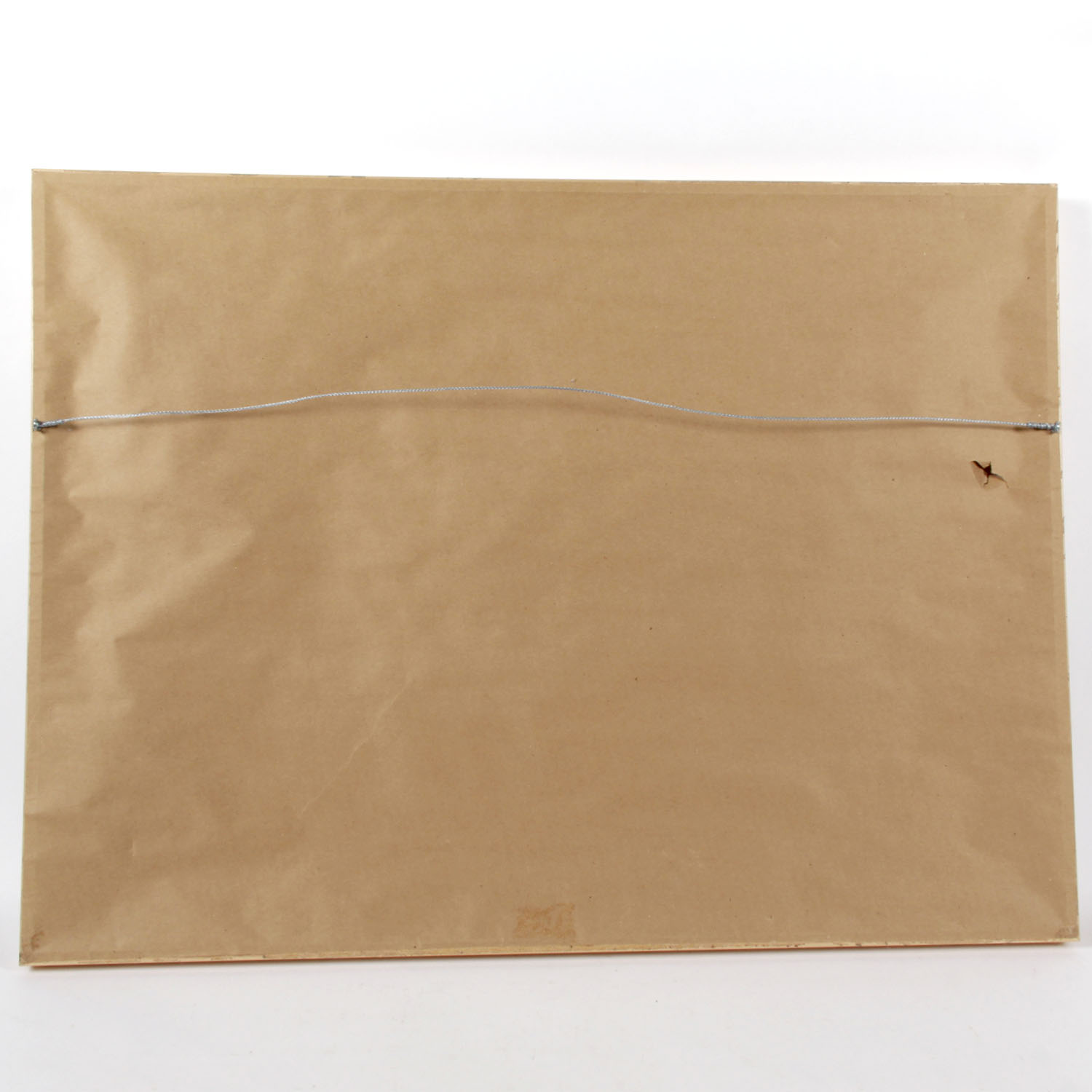 Modern Framed Watercolor Silkscreen Print