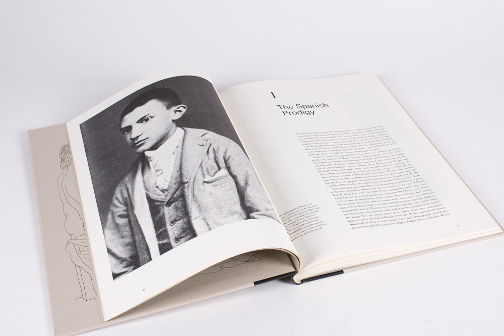 Time Life Library of Art Book Collection