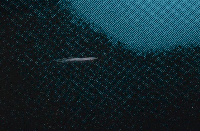 Mark Kostabi Signed Limited Edition Serigraph  "Upwardly Mobile"