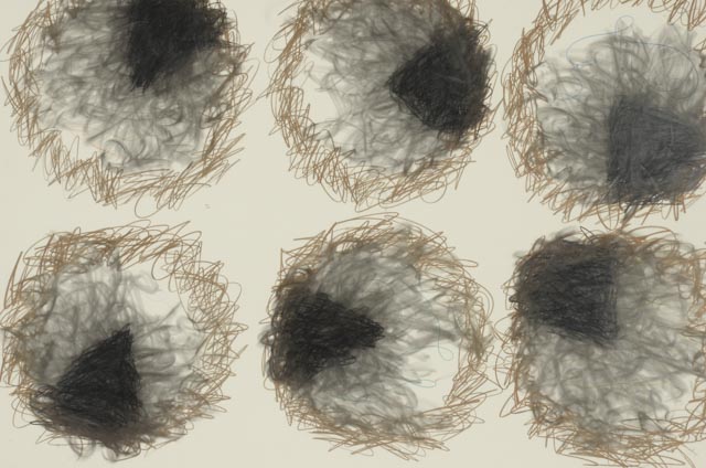 Ernest Shaw Original Graphite and Colored Pencil on Paper