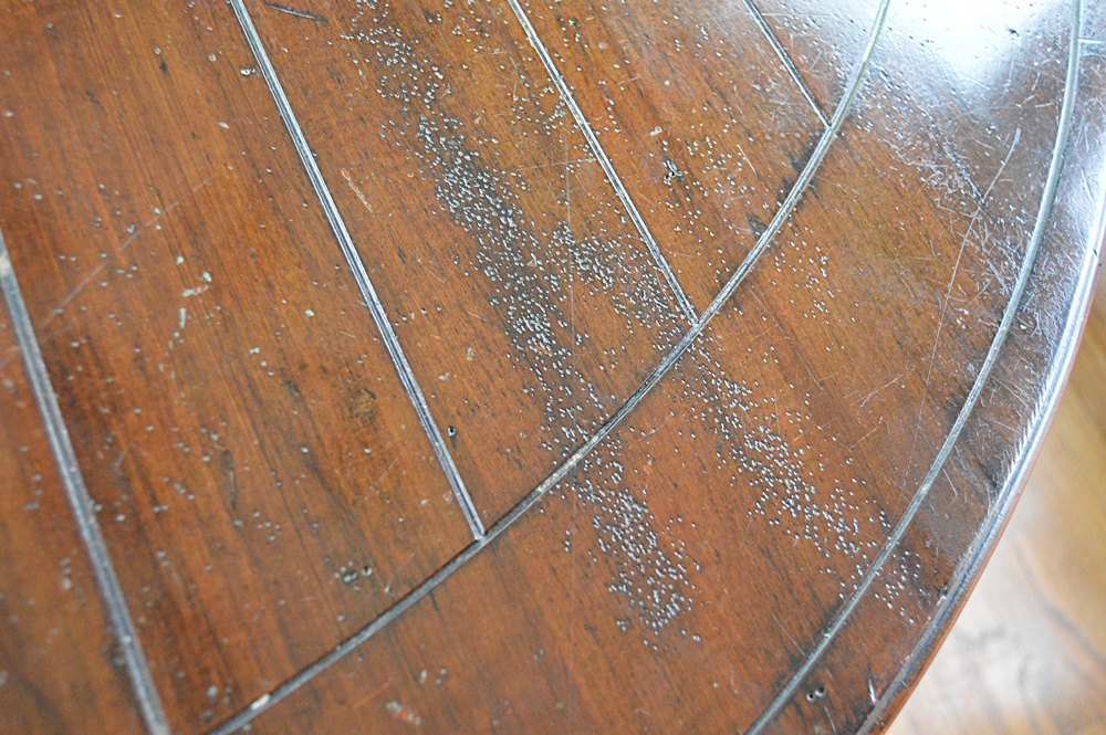 Neoclassic Style Column-Pedestal Dining Table from Habersham Plantation