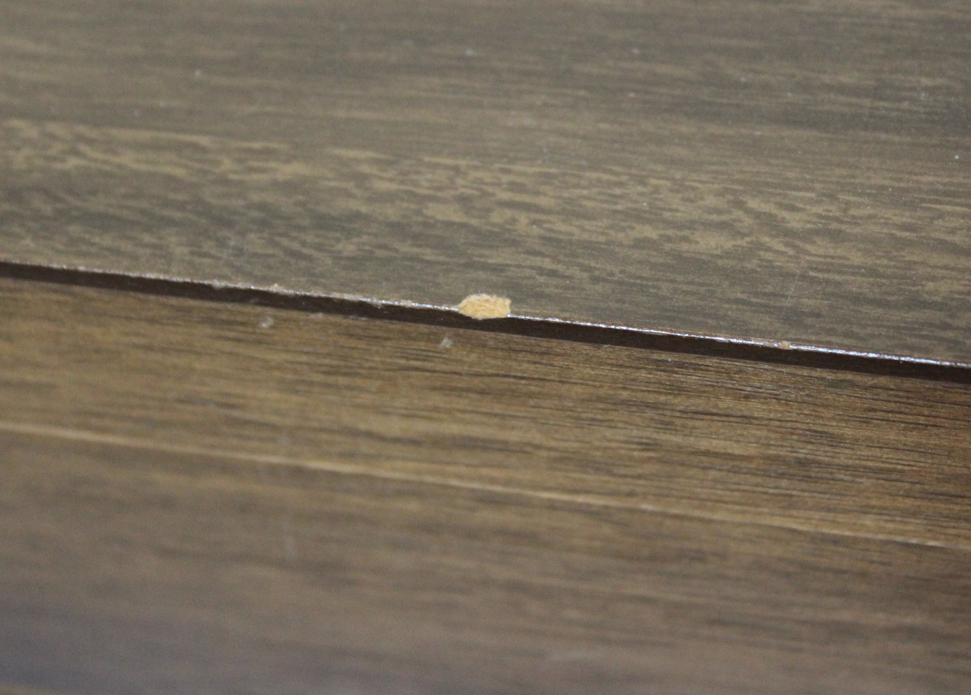 1847 Rogers Brothers "Her Majesty" Silver Plate Flatware in Chest