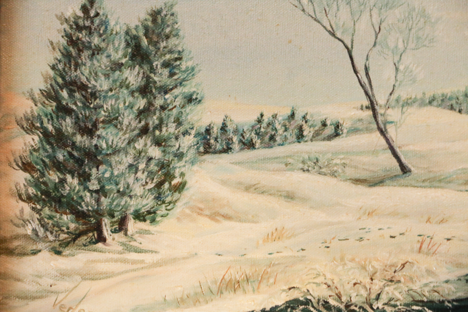 Variety of Framed Western Art