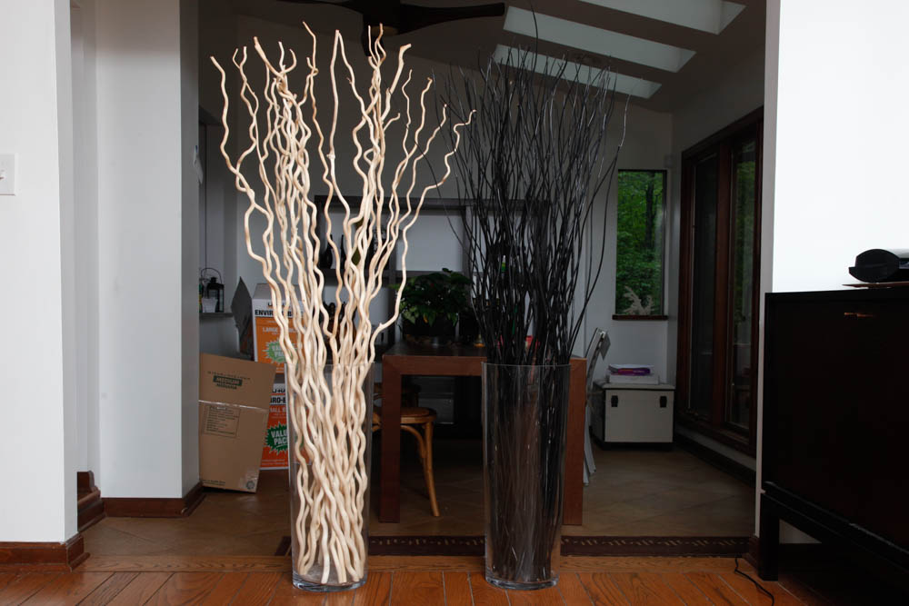 Pair of Large Glass Vases and Decorative Sticks