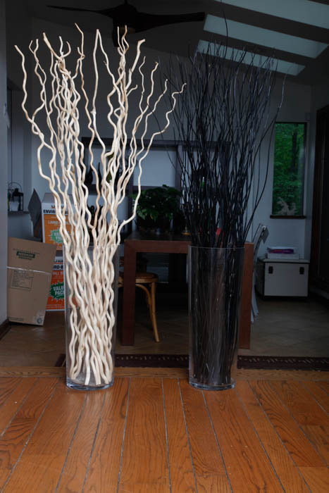 Pair of Large Glass Vases and Decorative Sticks