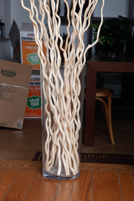 Pair of Large Glass Vases and Decorative Sticks