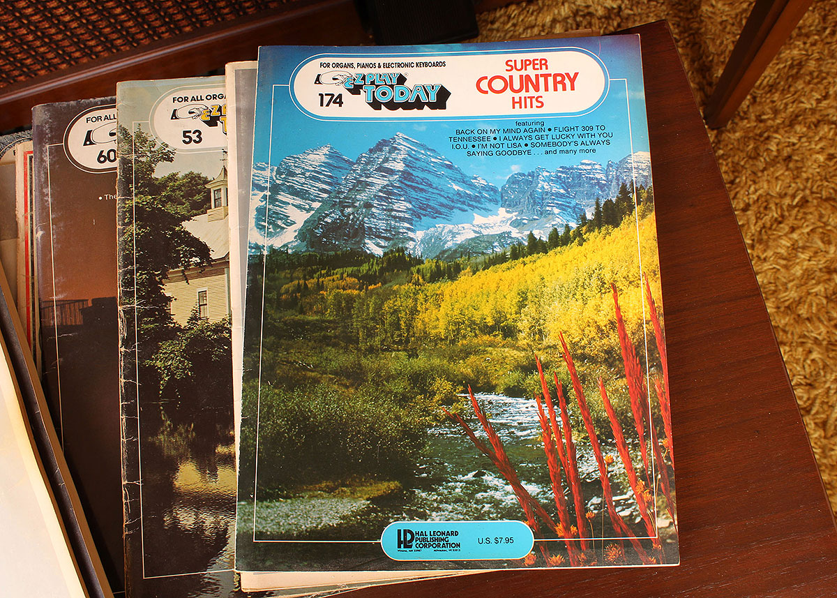 Lowrey Electric Organ