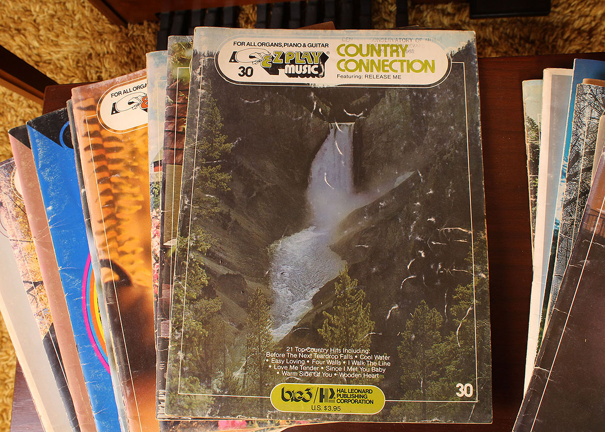 Lowrey Electric Organ