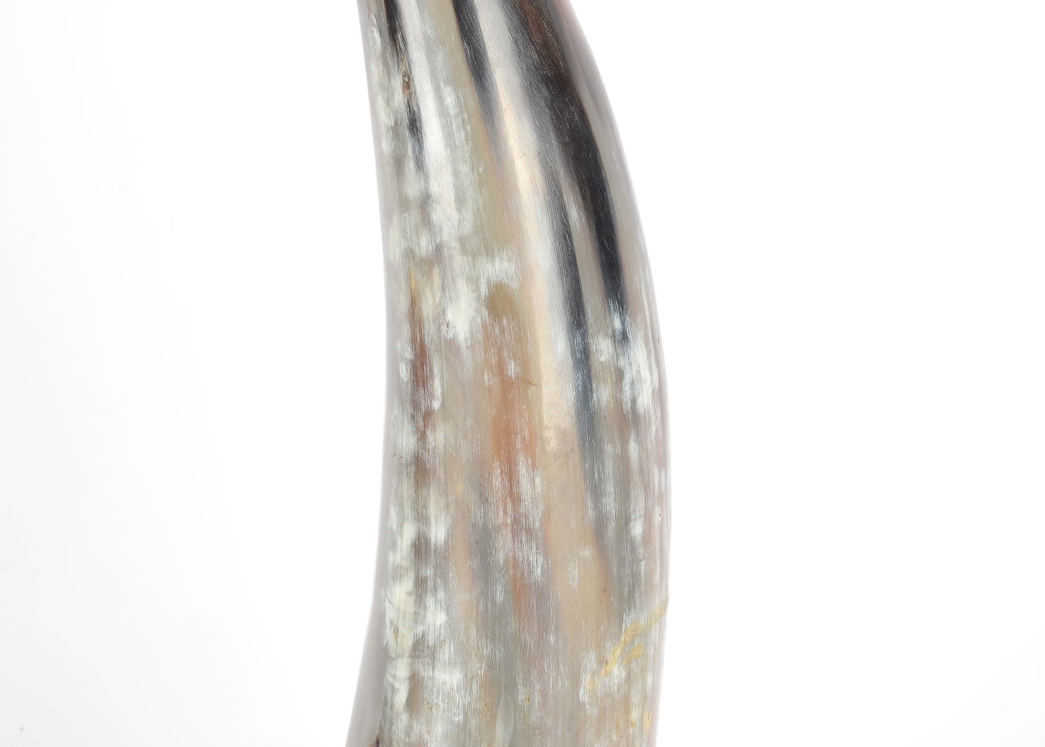 Pair Large Horn Table Ornaments