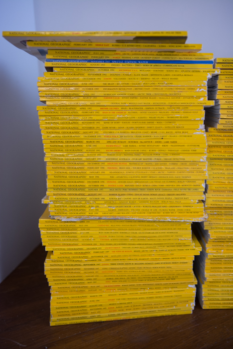 Collection of 1990's National Geographic Magazines