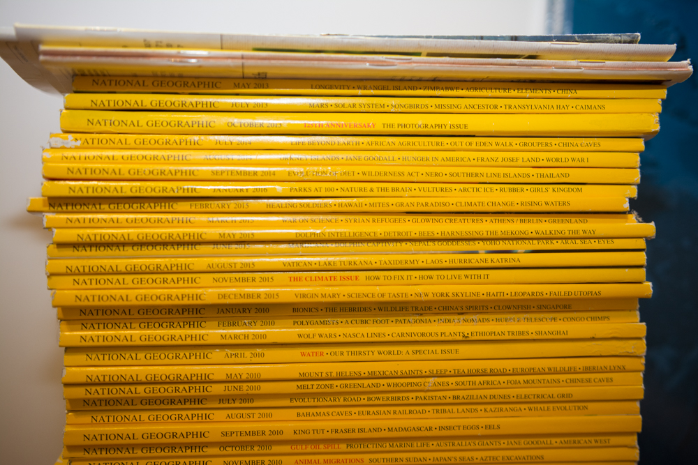 Collection of 2010's National Geographic Magazines