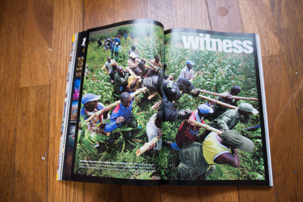 Collection of 2010's National Geographic Magazines