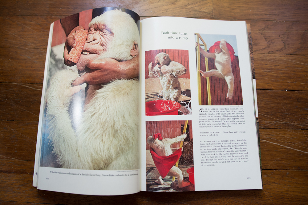 Collection of 1970's National Geographic Magazines