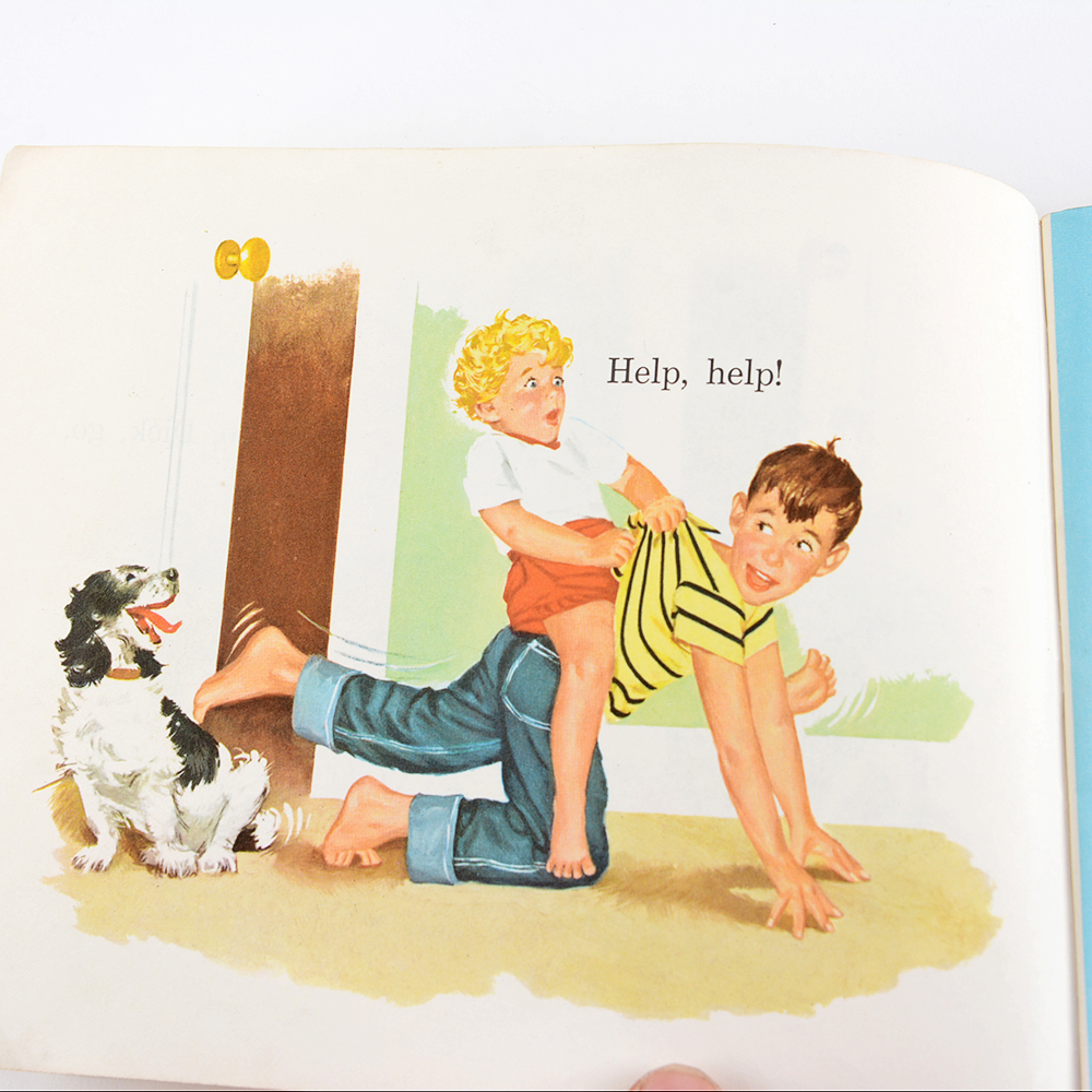 1960s "Sally Dick and Jane" Basic Reader