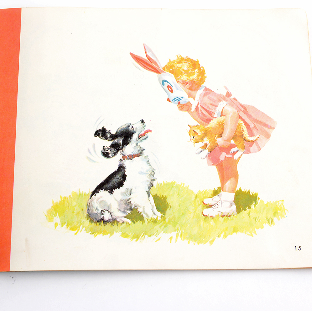 1960s "Sally Dick and Jane" Basic Reader