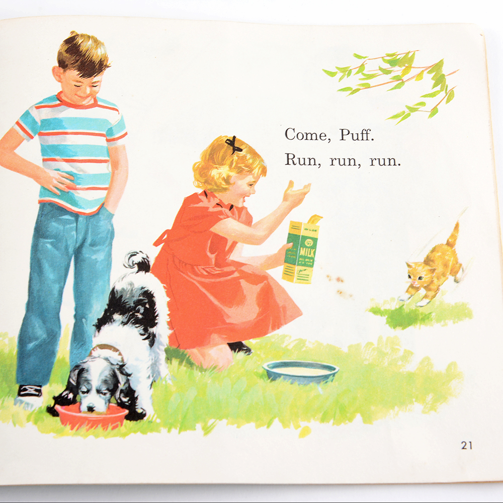1960s "Sally Dick and Jane" Basic Reader