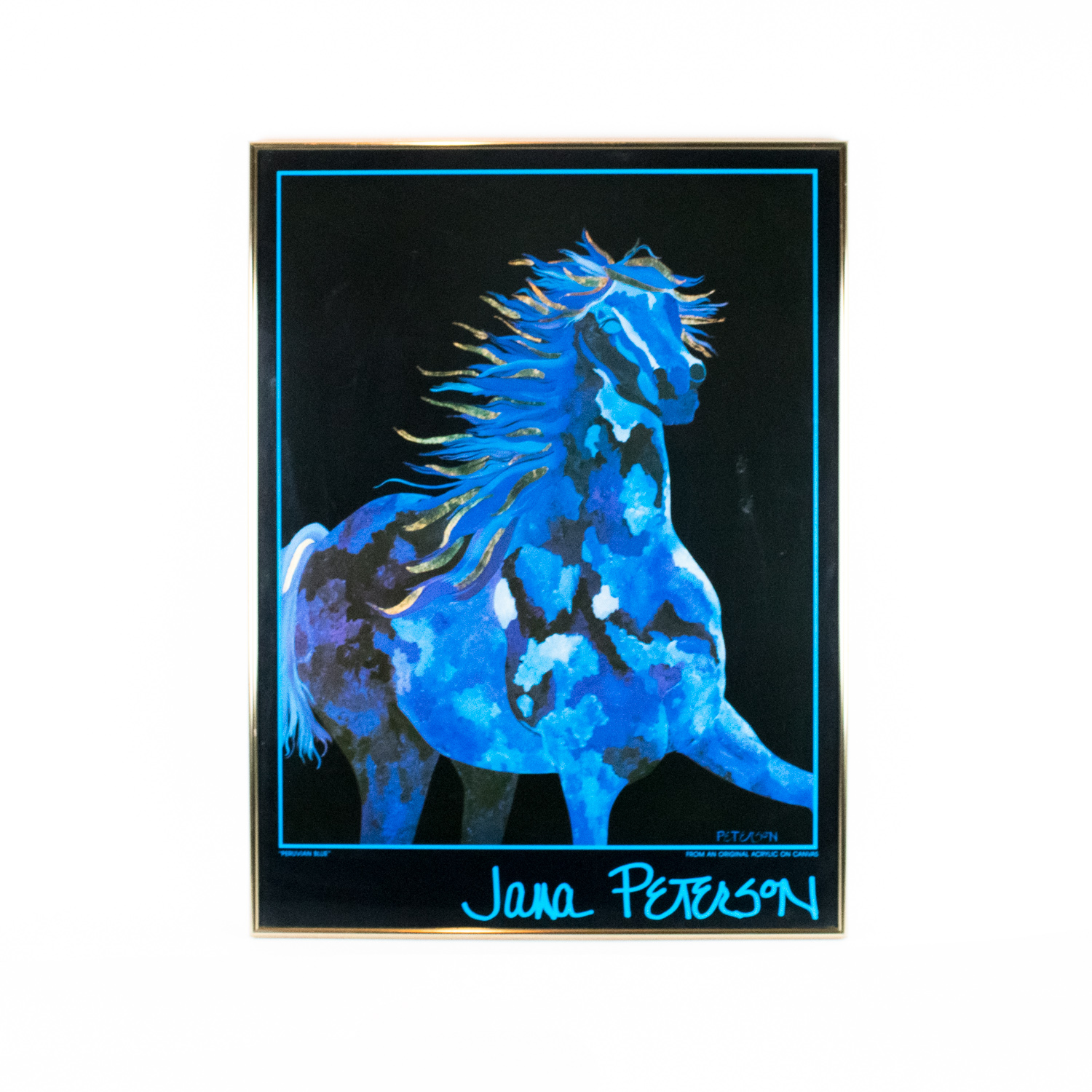 Jana Peterson "Peruvian Blue" Art Poster