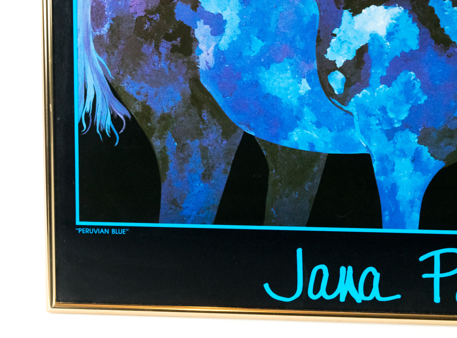 Jana Peterson "Peruvian Blue" Art Poster