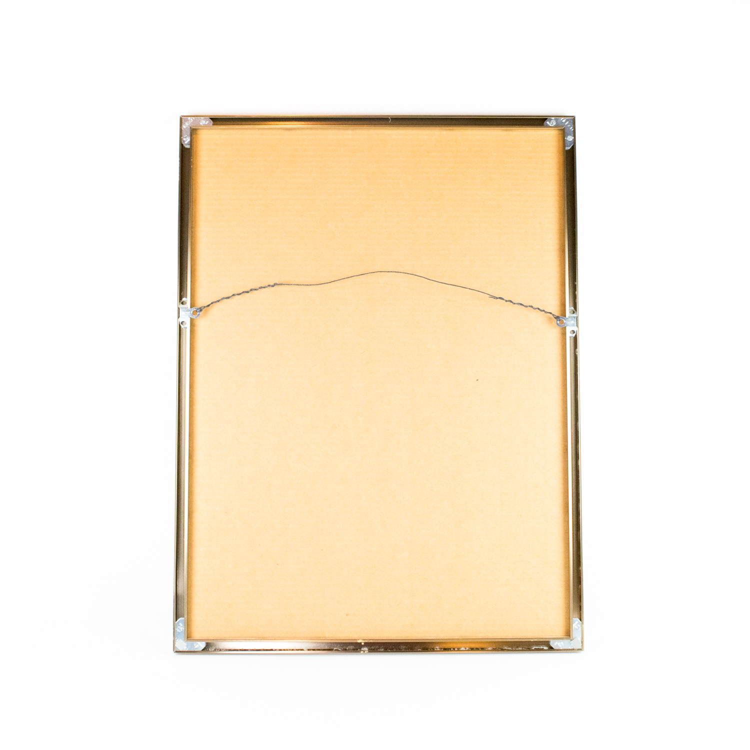 Jana Peterson "Peruvian Blue" Art Poster