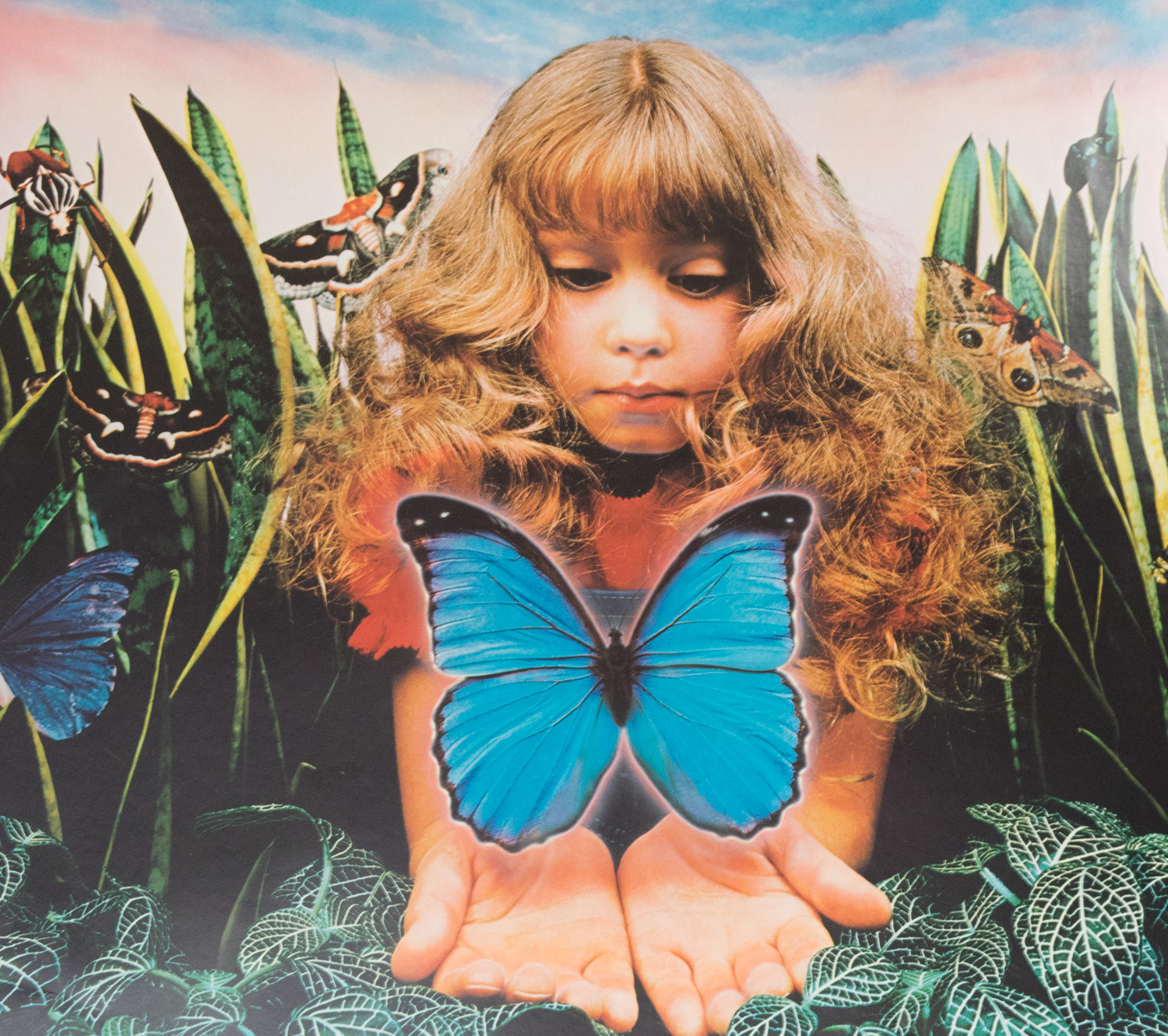 Collection of Special Exhibit Posters