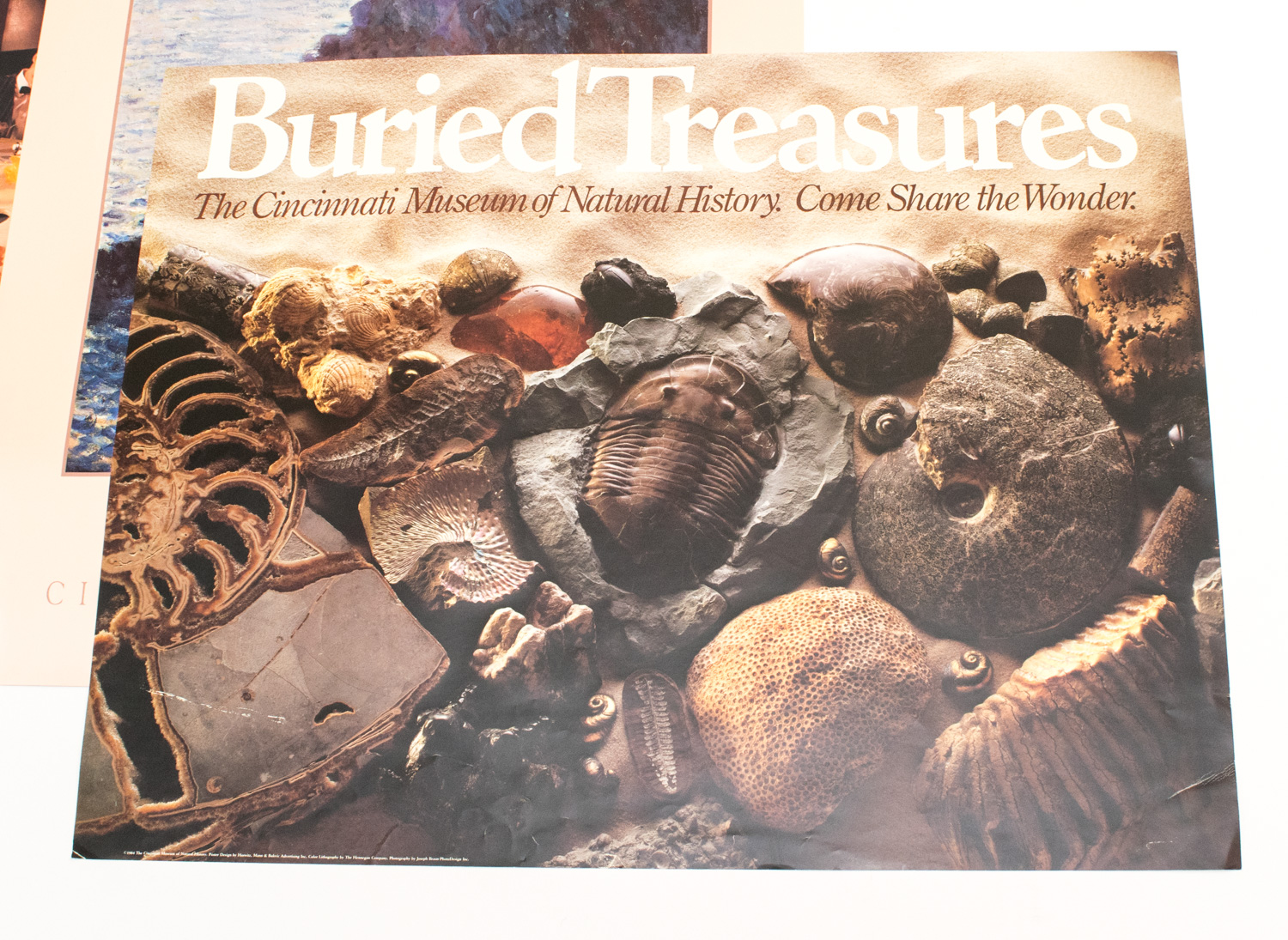 Assortment of Special Exhibit Posters