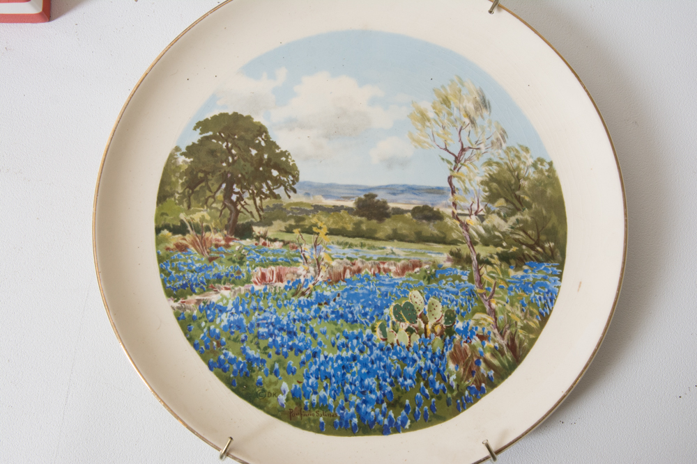 Collection of Ceramic Texas Themed Decor