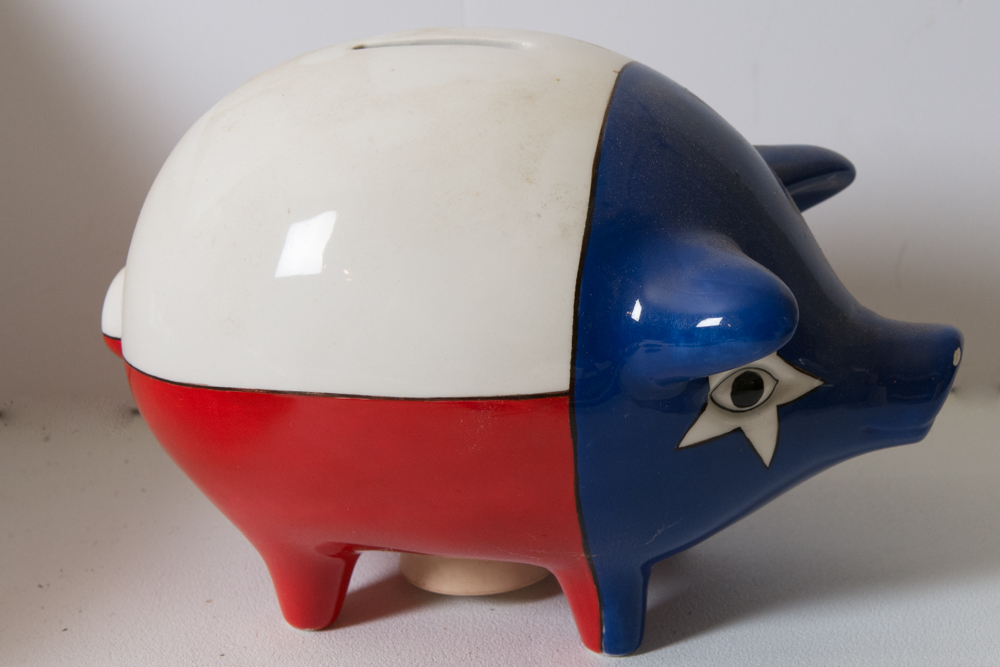 Collection of Ceramic Texas Themed Decor