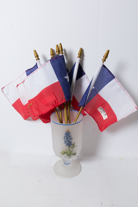 Collection of Ceramic Texas Themed Decor