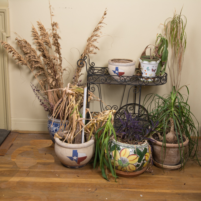 Generous Outdoor Planter Lot