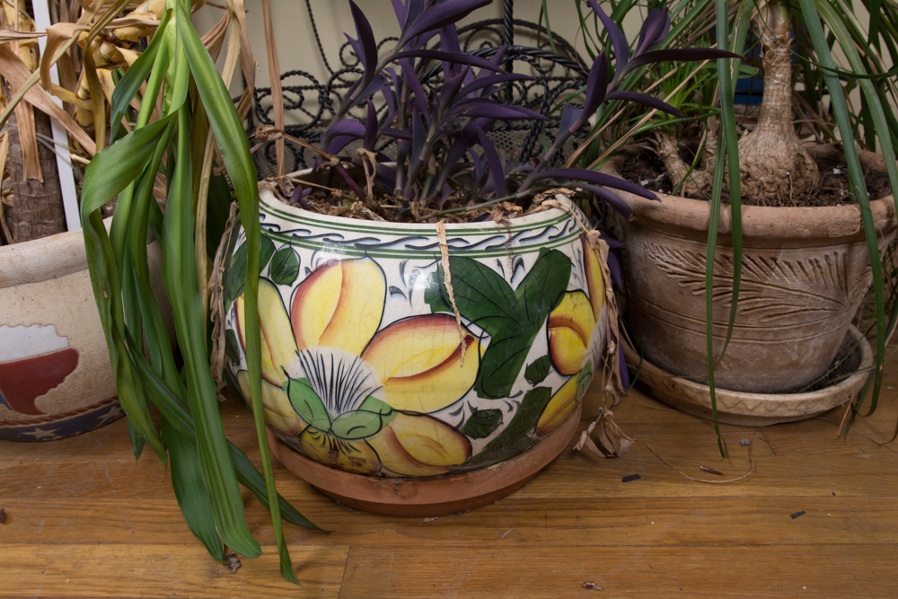 Generous Outdoor Planter Lot