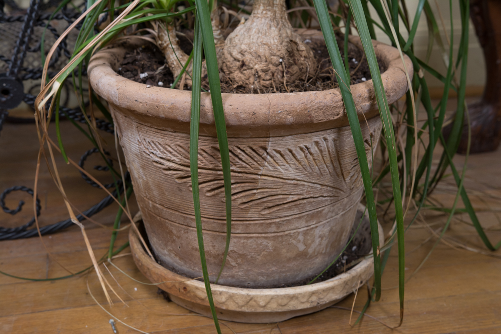 Generous Outdoor Planter Lot