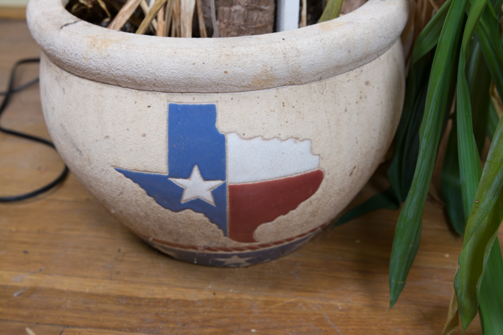 Generous Outdoor Planter Lot