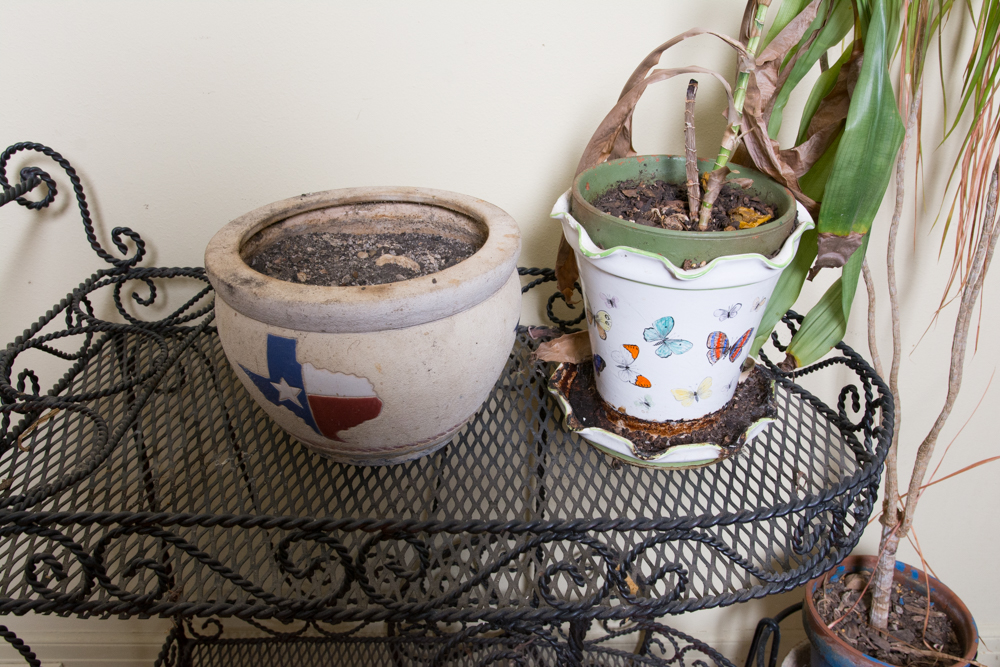 Generous Outdoor Planter Lot