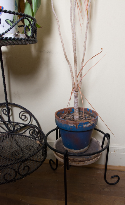 Generous Outdoor Planter Lot