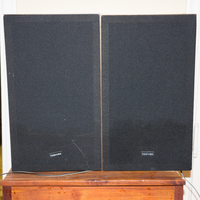 Pair of Toshiba Speakers