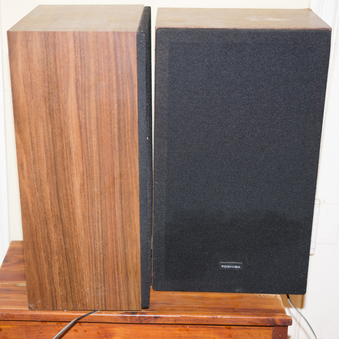 Pair of Toshiba Speakers