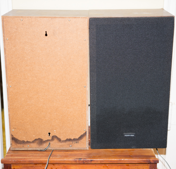 Pair of Toshiba Speakers