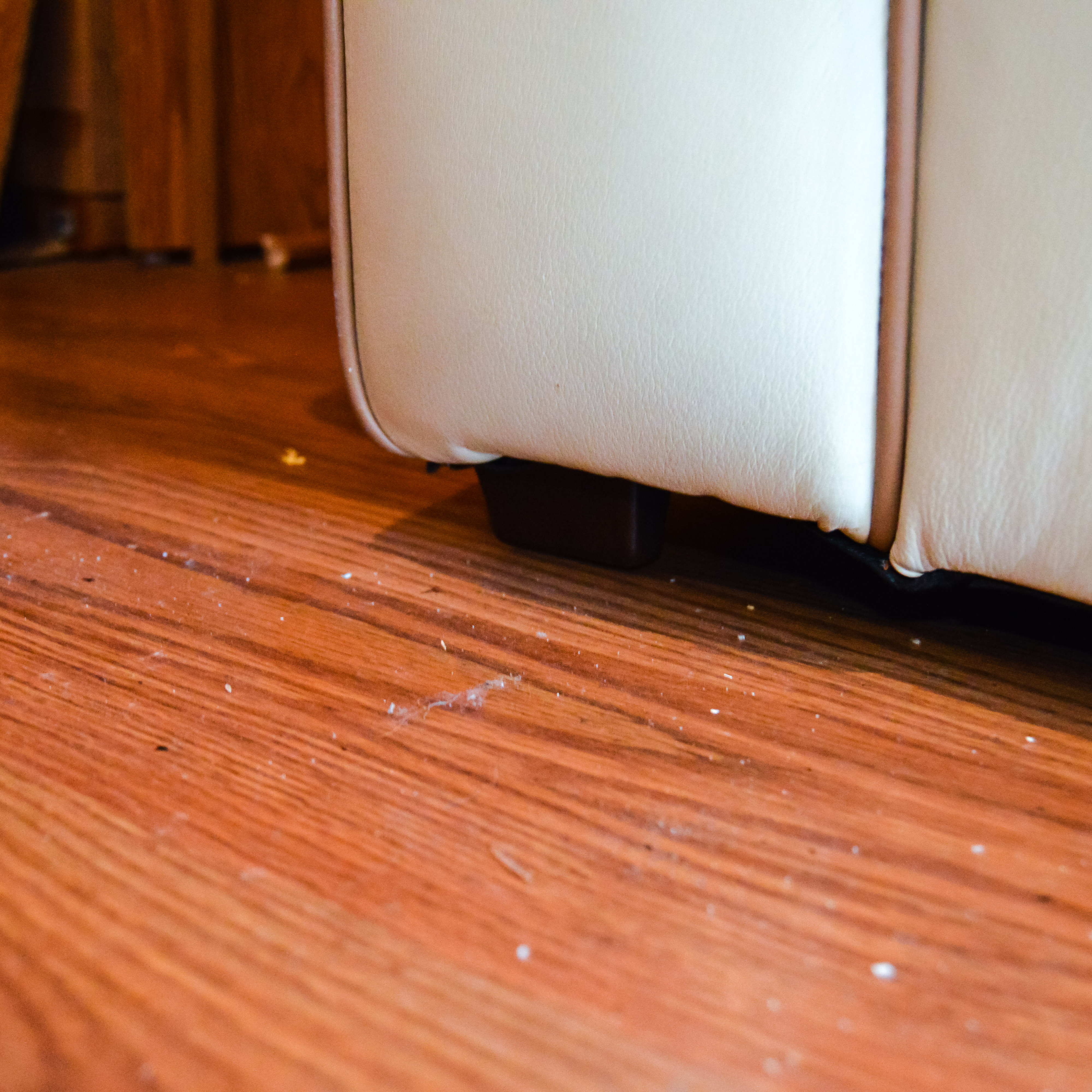 Robinson and Robinson Off White Leather Loveseat