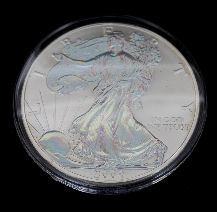 2004 Ultimate Silver Eagle Collection