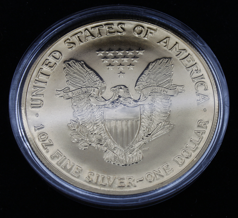 2004 Ultimate Silver Eagle Collection