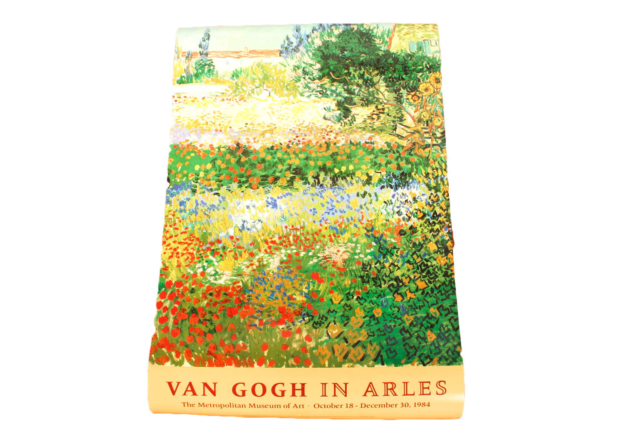 Van Gogh in Arles Poster