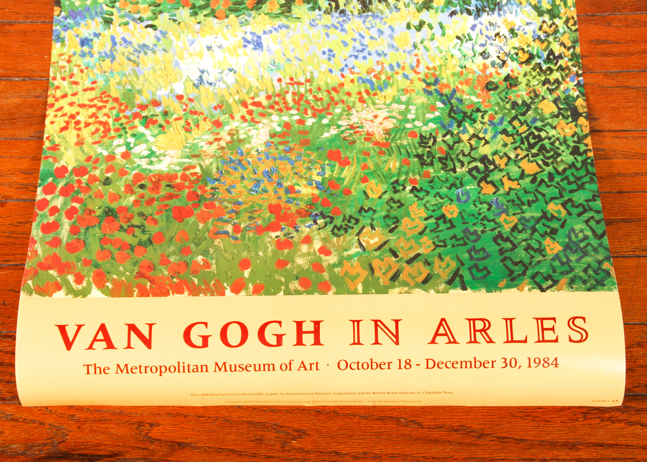 Van Gogh in Arles Poster