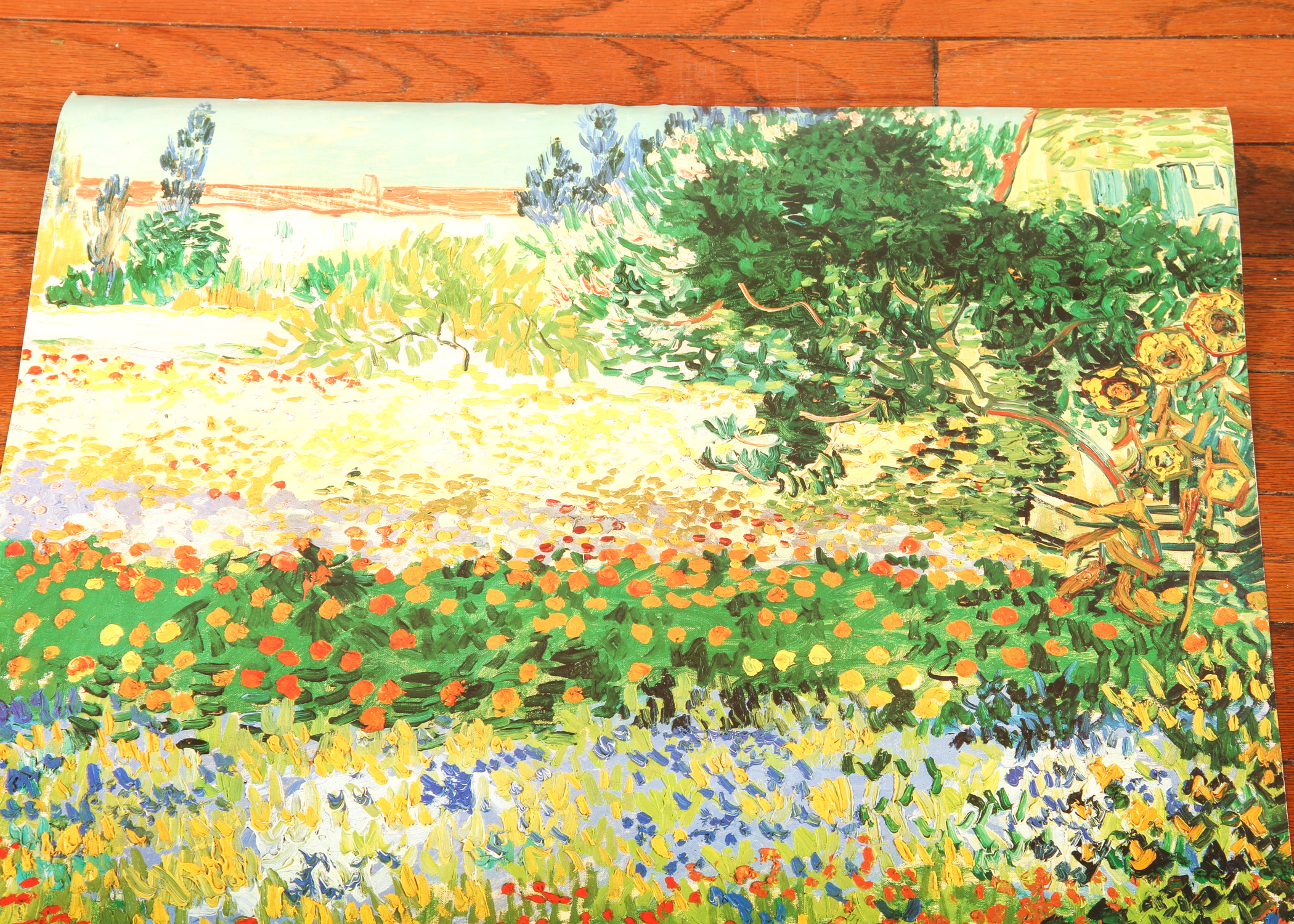 Van Gogh in Arles Poster