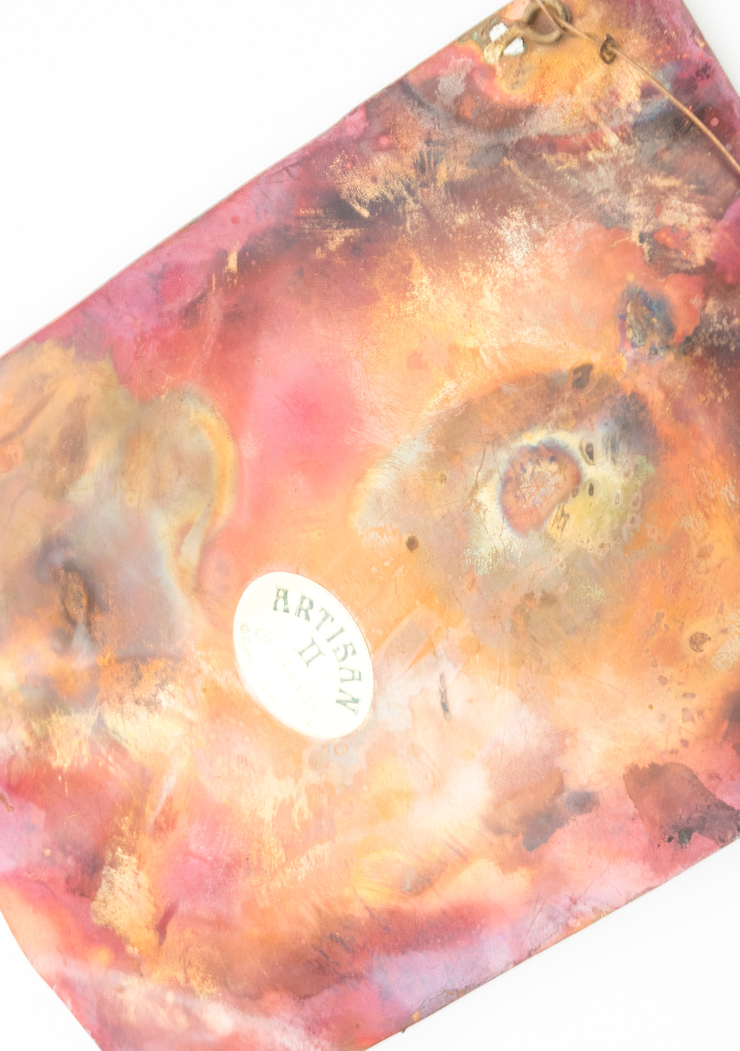 Collection of Marine Mammal Decor