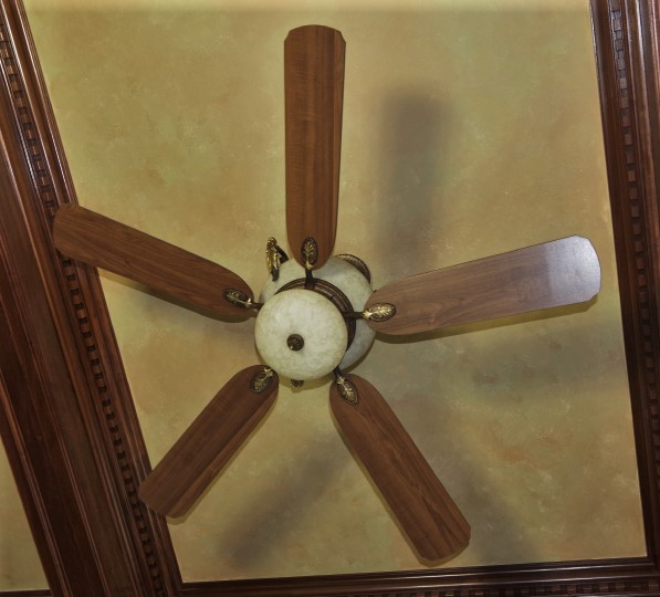 Ornate Lighted Ceiling Fan