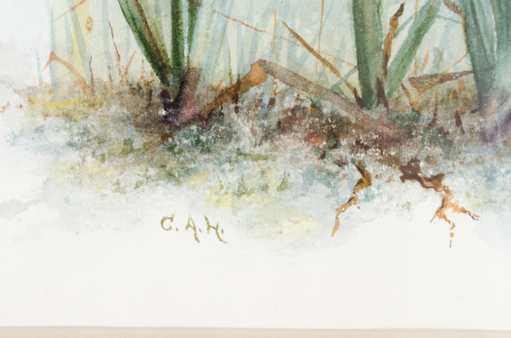 C. Hawes "Spiranthes Latifolia" Orchid Watercolor