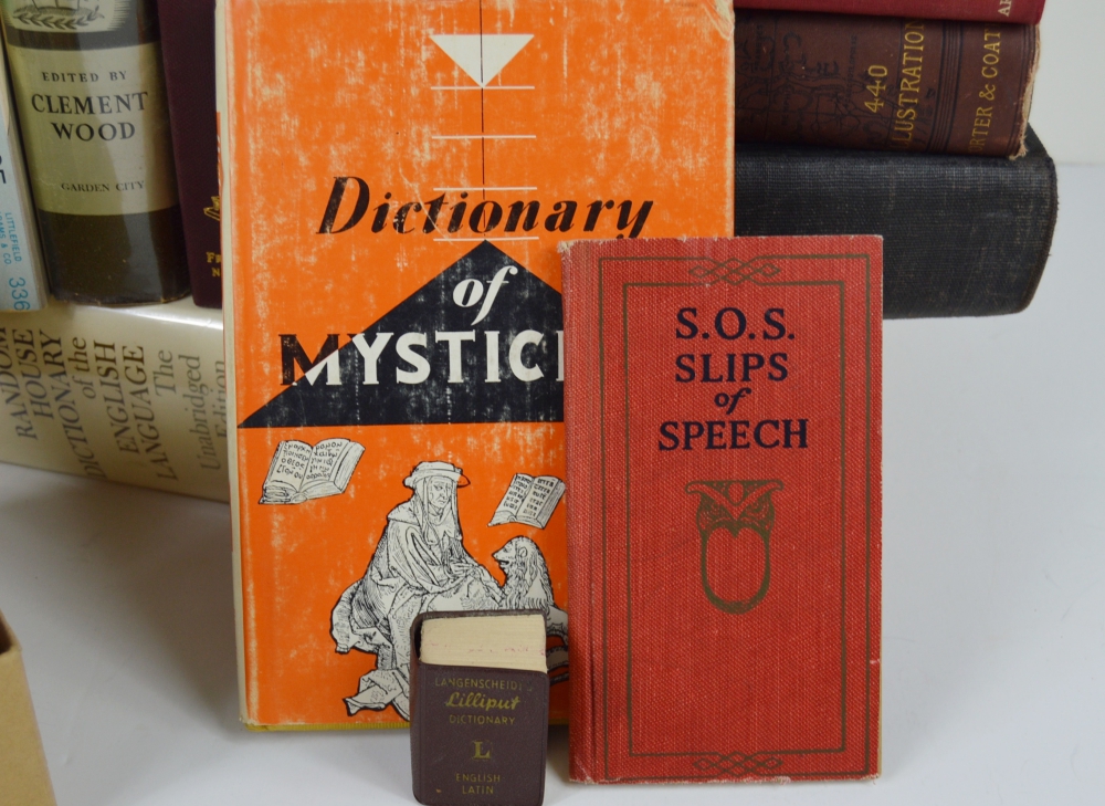 Not Your Normal Dictionary And Phrase Books
